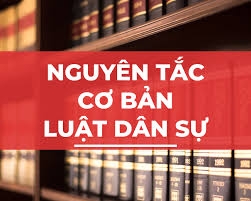 5 nguyên tắc cơ bản trong luật dân sự cần nắm rõ